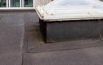 disadvantages of Waunfawr flat roofs