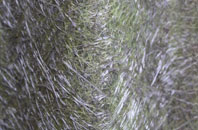 Waunfawr fibreglass roof work